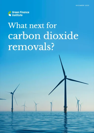 What-next-for-carbon-dioxide-removals-380x535