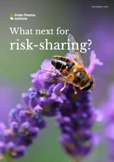 What-next-for-risk-sharing-380x539