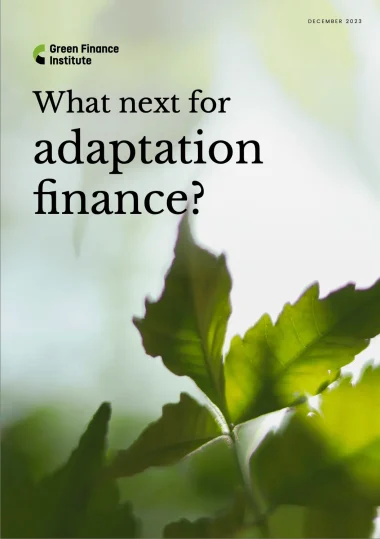 What-next-for-Adaptation-Finance-380x539