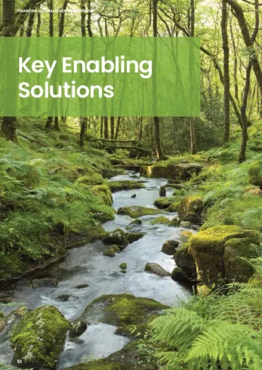 Key-Enabling-Solutions-380x536